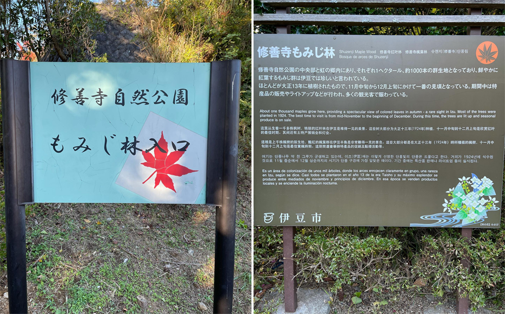 伊豆秋季的觀光名勝