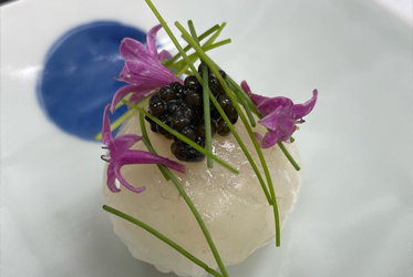 春光限定！虎河豚全餐，從壽司到鍋物一次滿足