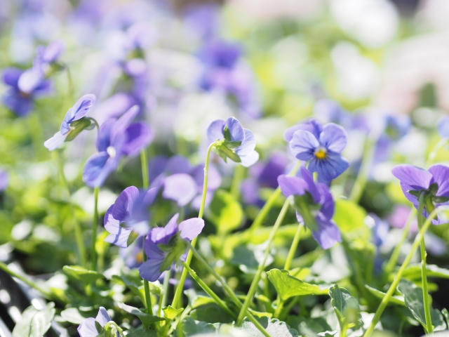 跟著節氣過生活 驚蟄