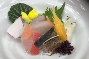 東漁港直送！每日新鮮生魚片