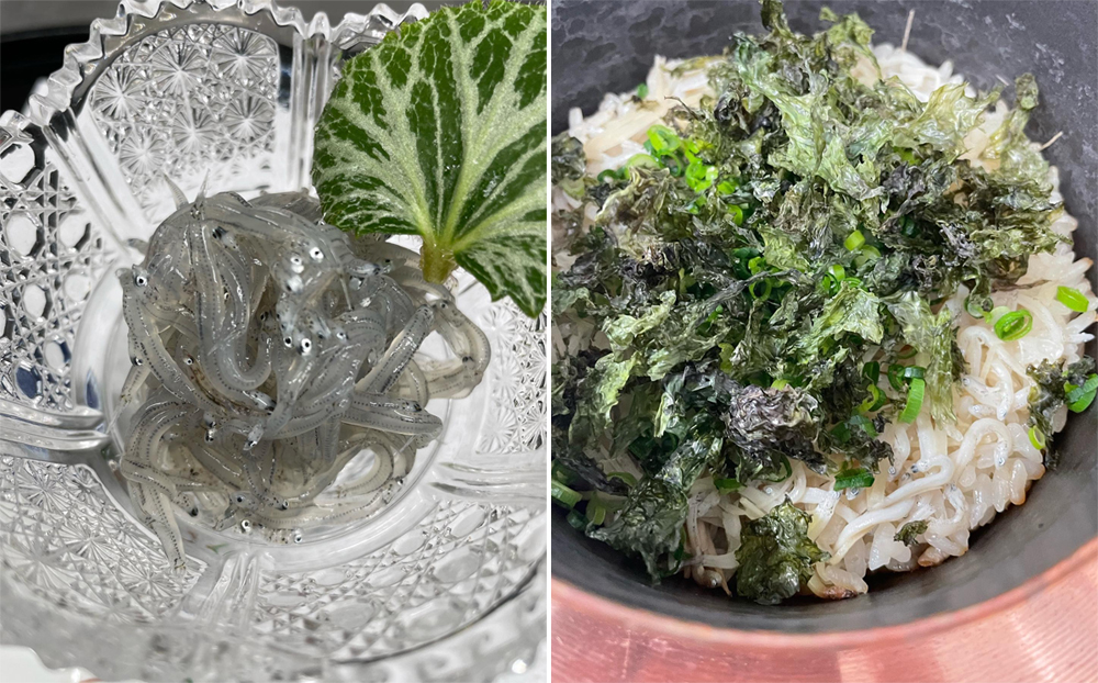 魩仔魚和食鮮體驗