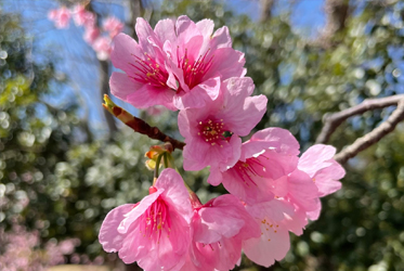 春暖花開，坐漁荘新氣象！