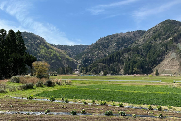 無農藥的堅持，舌尖的感動