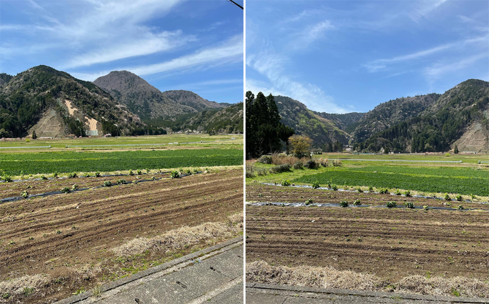 無農藥的堅持，舌尖的感動