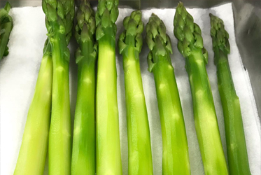 春季就是新綠的季節