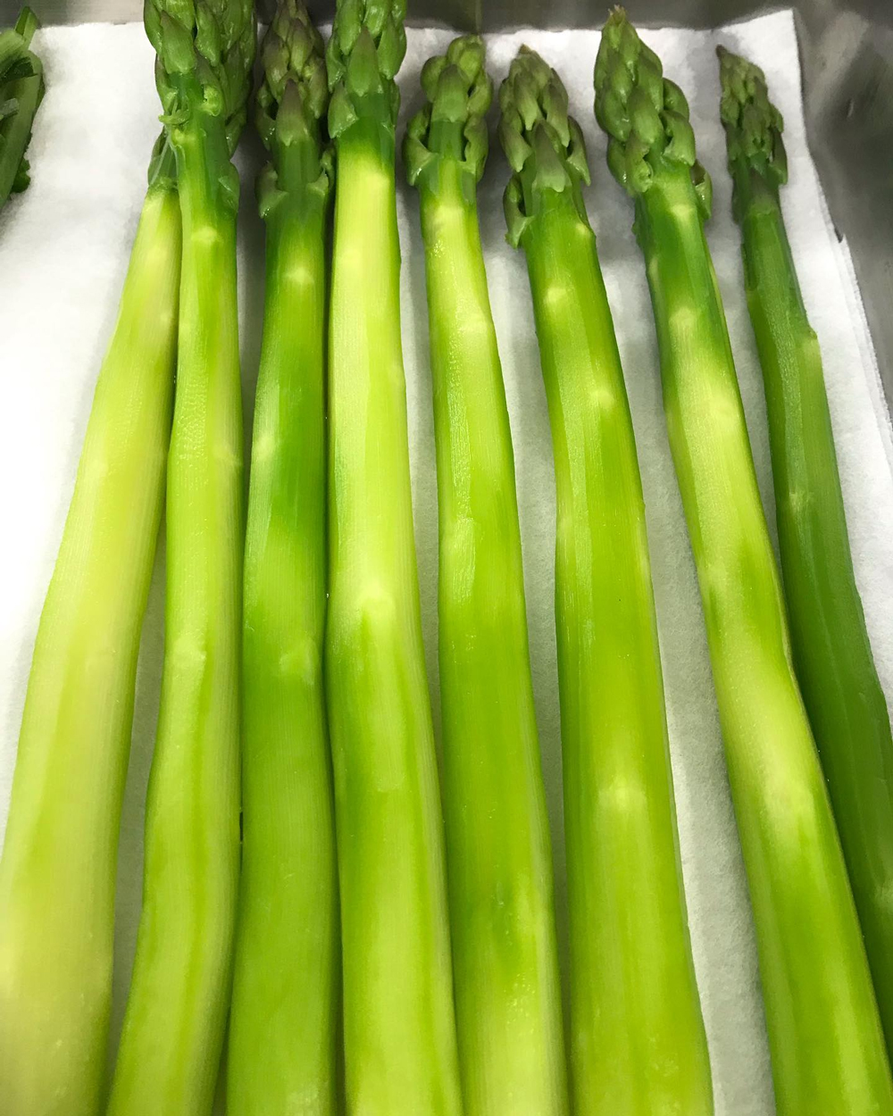 春季就是新綠的季節