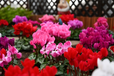 【跟著節氣過生活 立冬】