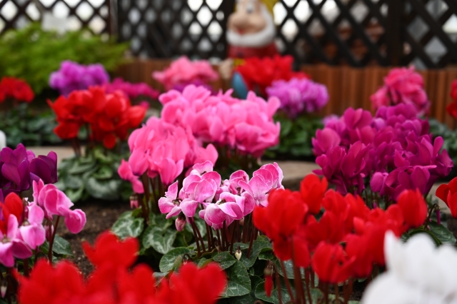 【跟著節氣過生活 立冬】