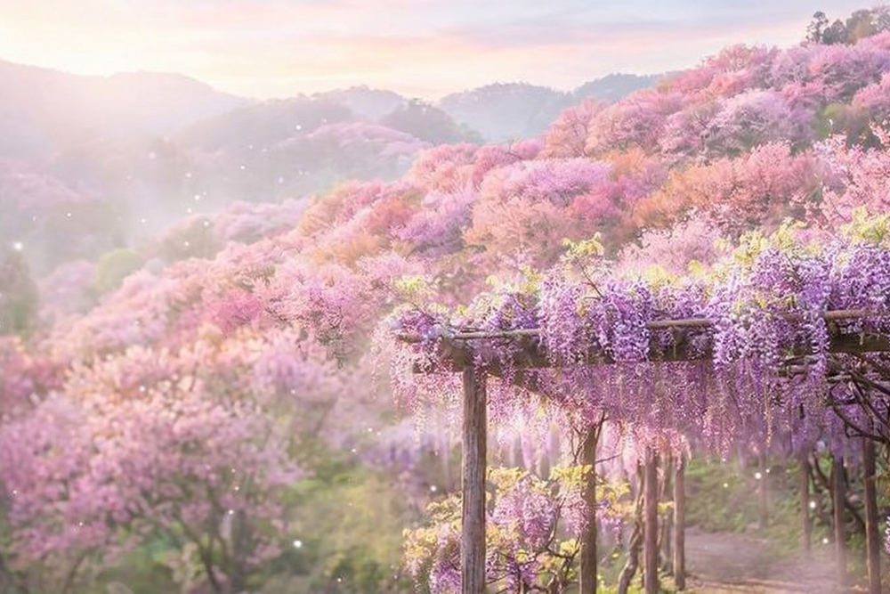 【跟著節氣過生活 春分】