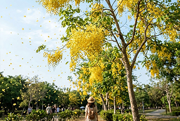 【跟著節氣過生活 立夏】