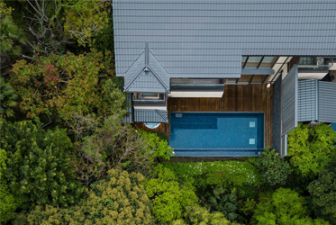 Forest walk in the air at ABBA RESORTS IZU!