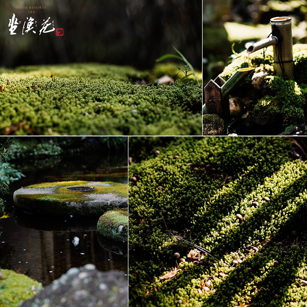 【一如無用之用，無可觀之處方有大觀】