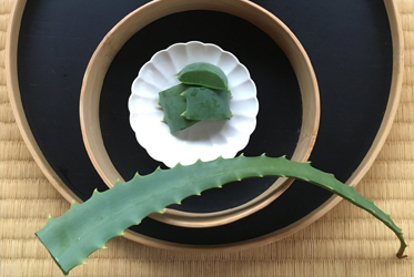 ABBA SPA 季節のおもてなし