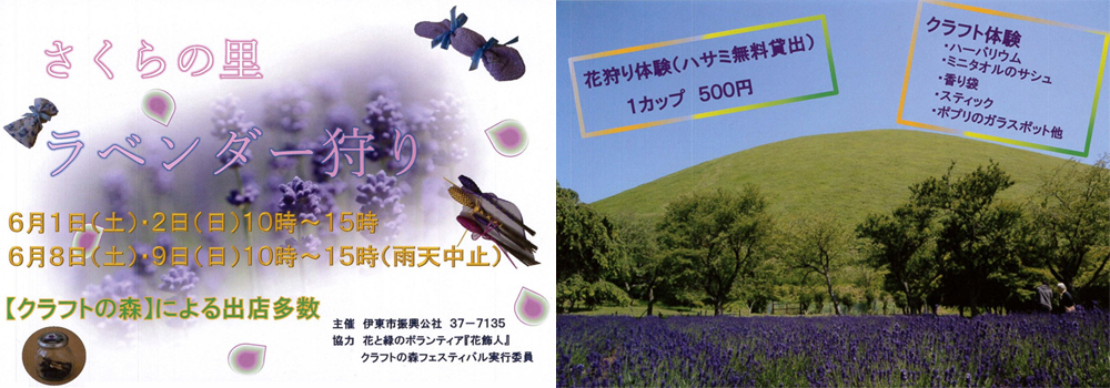 【櫻花鄉薰衣草祭】