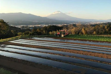 11月25日「清坐奏楽」料理教室開催のご案内
