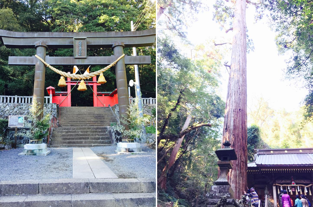 八幡宮来宮神社へお参り