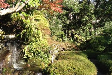 坐漁莊庭園散策記