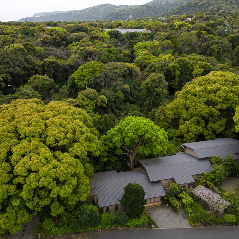 Forest walk in the air at ABBA RESORTS IZU!