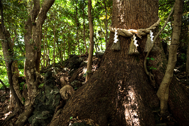 Pure Japanese leisure amidst Japanese gardens and natural surroundings
