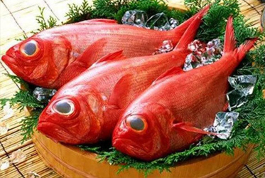 【鯛，是一種味道，也是一種文化！】