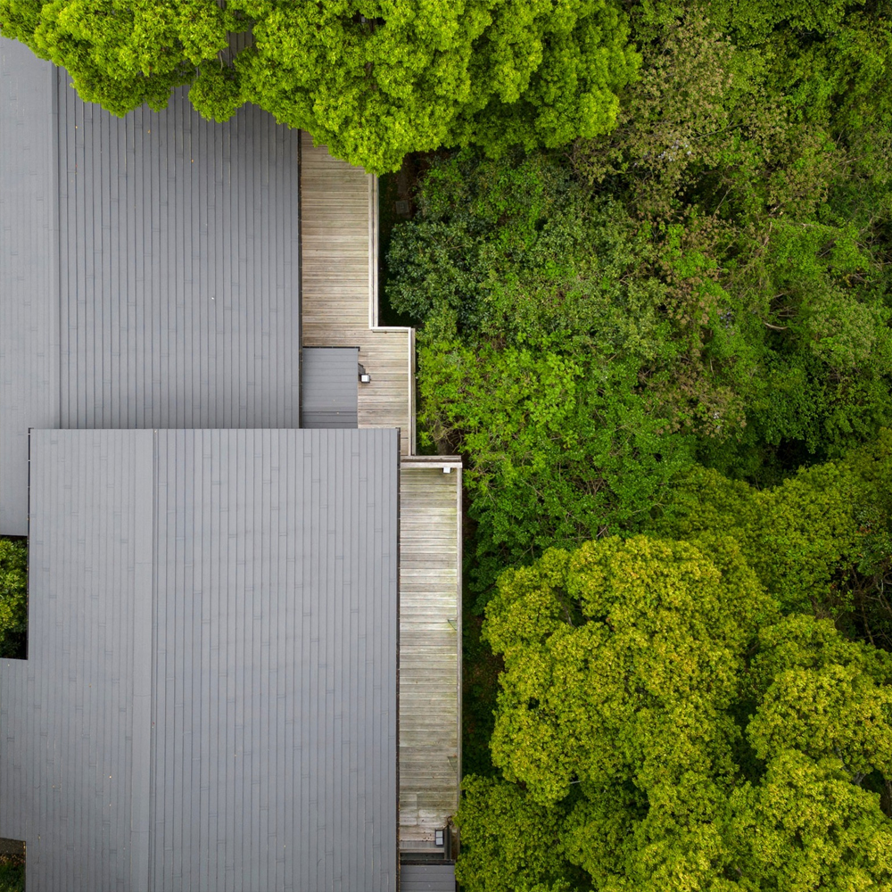 Forest walk in the air at ABBA RESORTS IZU!