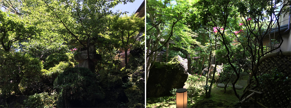 そのそこに『赤く』咲けるは何の花ぞも…