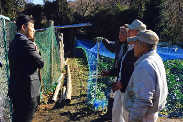 郷組さんの有機野菜、輝いています！