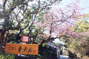 桜の季節