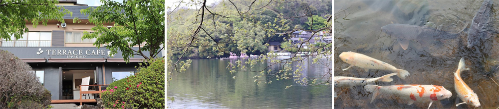 《仙境・伊豆》