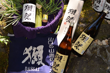 入手困難！獺祭を熱燗で味わう極上のひととき
