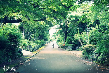 心靈微旅行