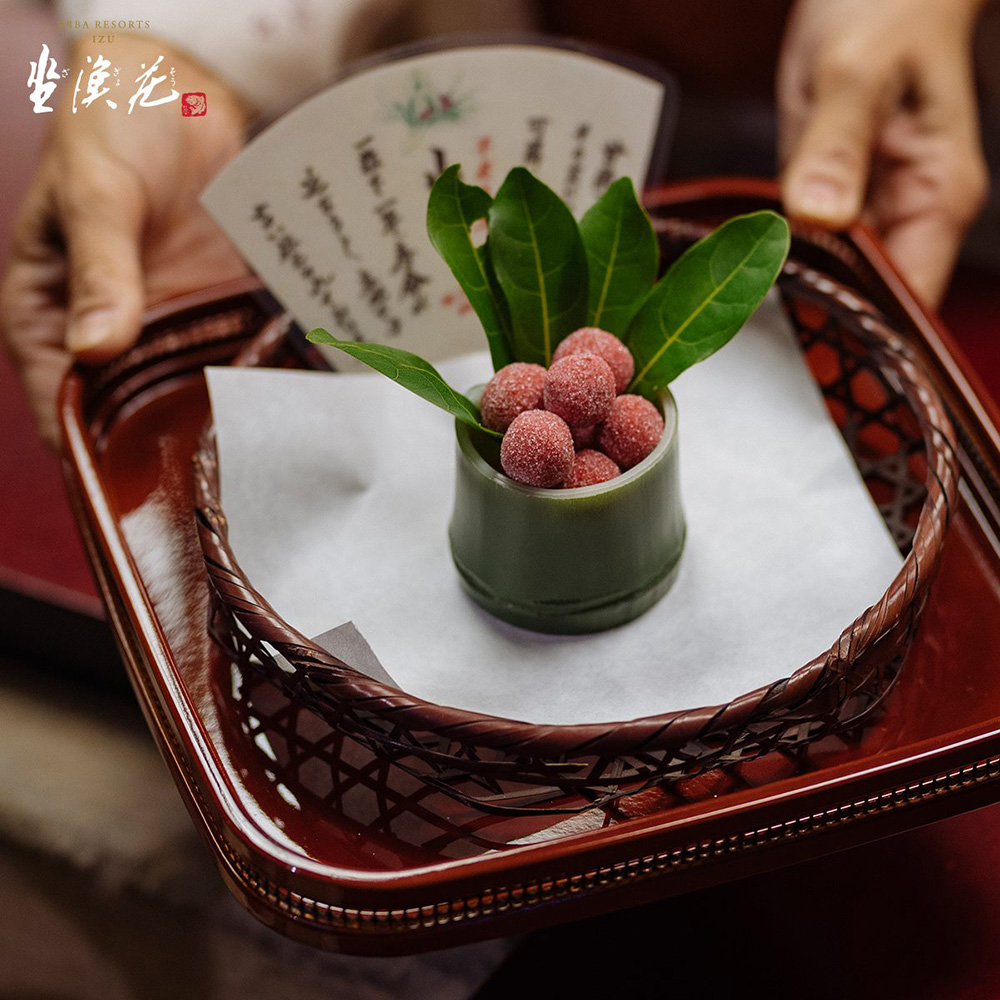 【何妨再續：一粒果的延年之祕】