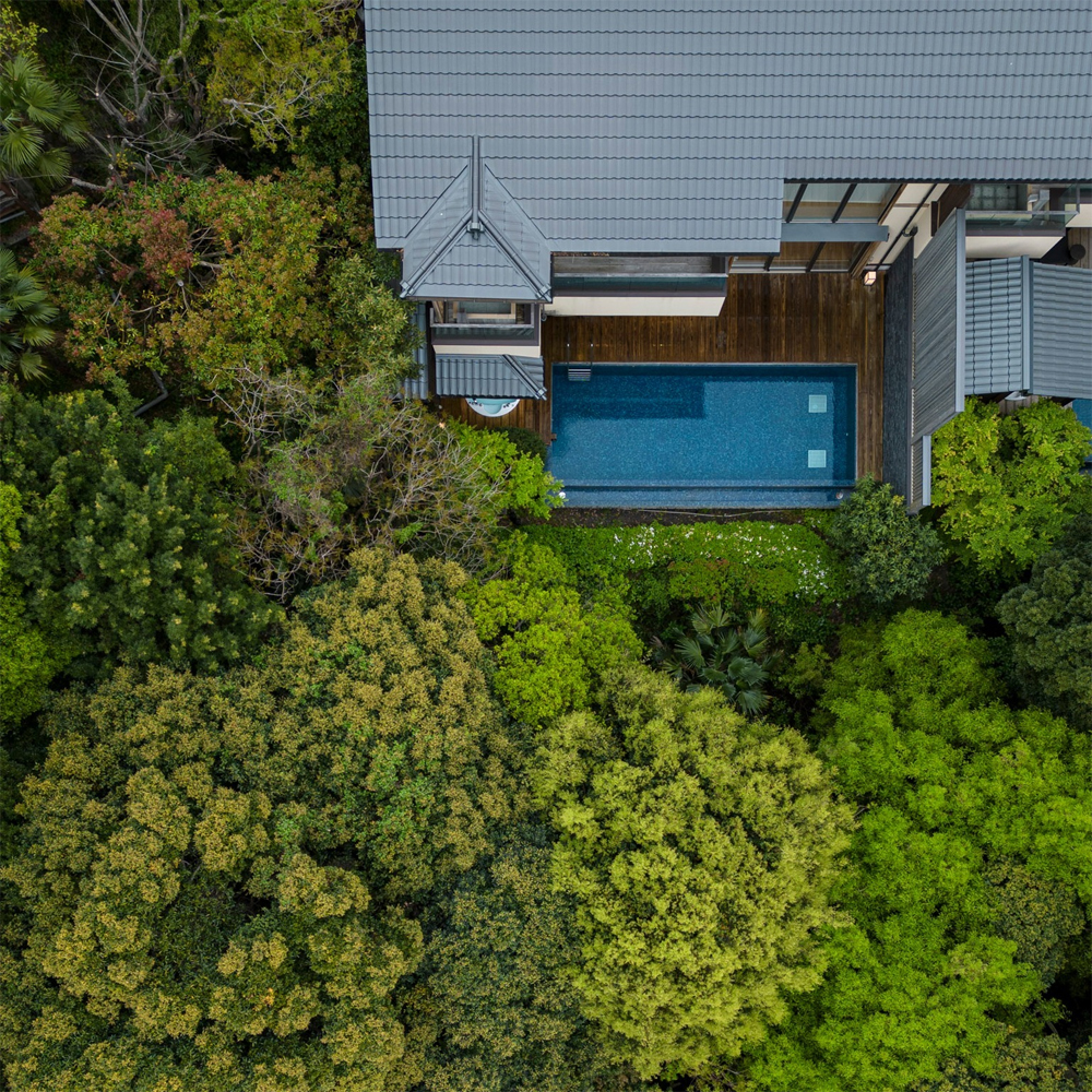 Forest walk in the air at ABBA RESORTS IZU!