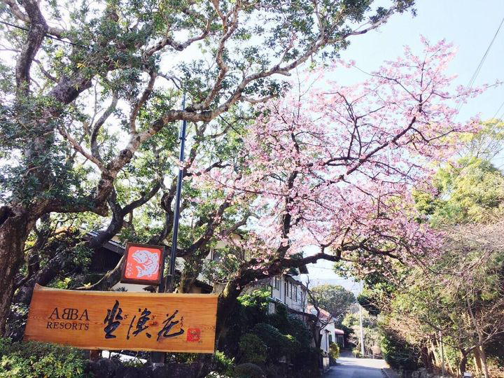 桜の季節