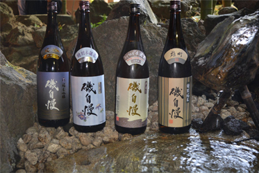坐漁莊新入荷：日本超人氣「磯自慢」清酒，清爽口感停不下來！