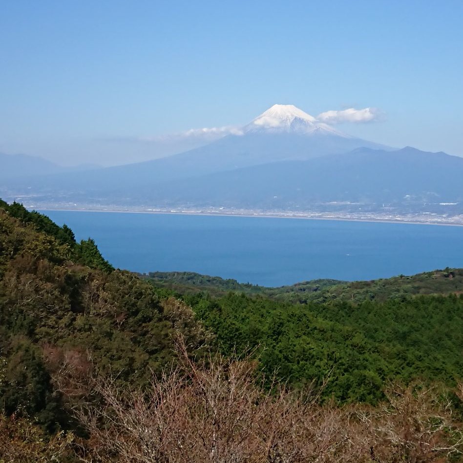 2025年 新年のご挨拶