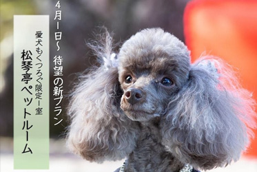 【3月18日11:00より予約スタート】