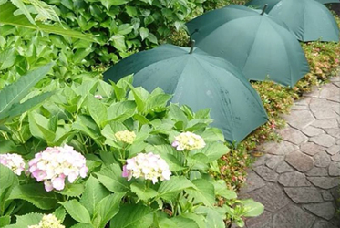 「坐漁荘花だより」